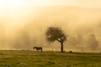 Hory - foto č.28