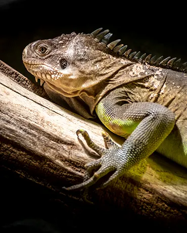 fot ZOO Praha